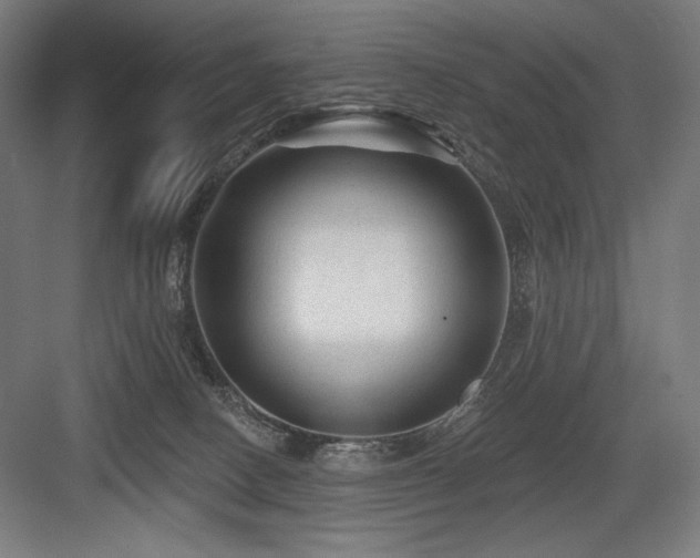 X0000083650082200702121201