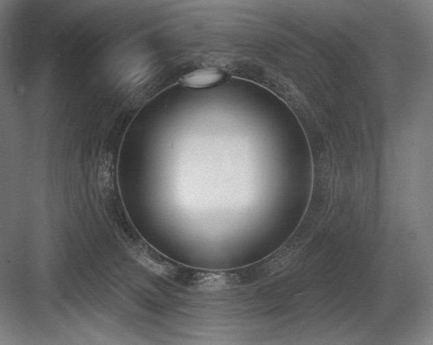 X0000083650083200702121201