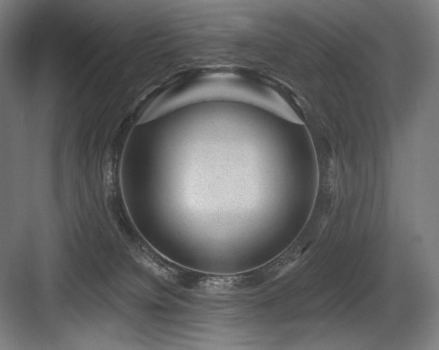 X0000083650084200702121201