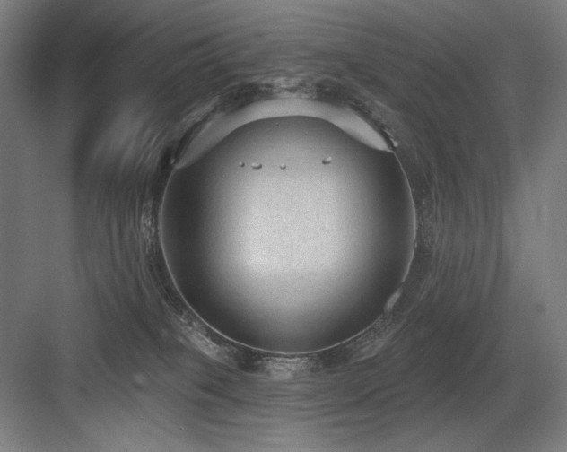 X0000083650085200702121201