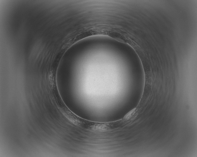 X0000083650086200702121201