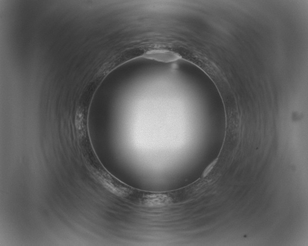 X0000083650087200702121201