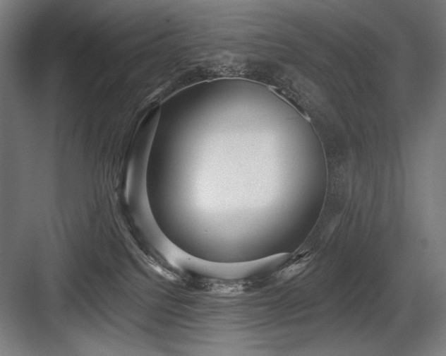 X0000083650088200702121201