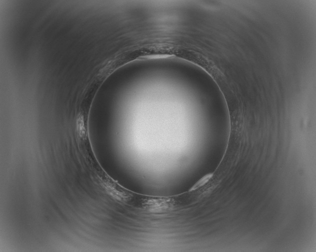 X0000083650089200702121201