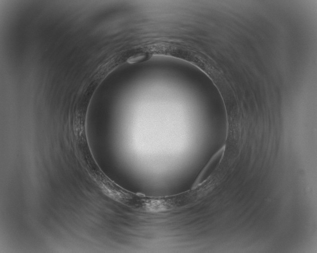 X0000083650091200702121201