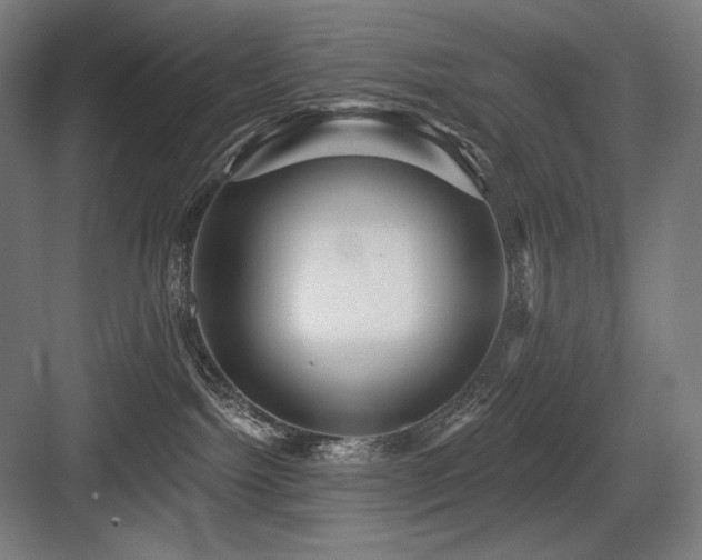 X0000083650092200702121201