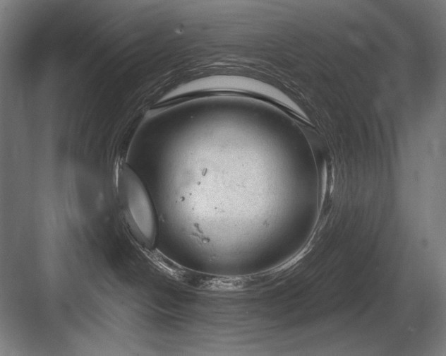 X0000083650094200702121201