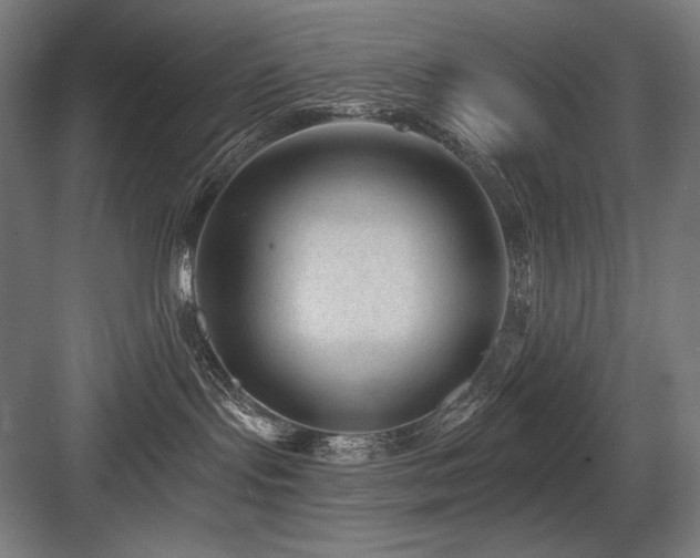X0000083650095200702121201
