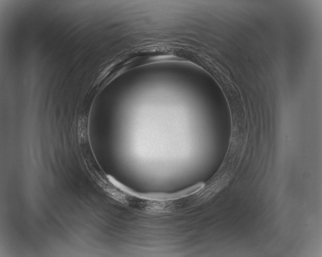 X0000083650096200702121201
