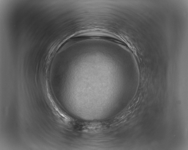 X0000083650097200702121200