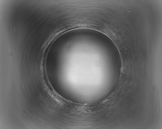 X0000083650098200702121200