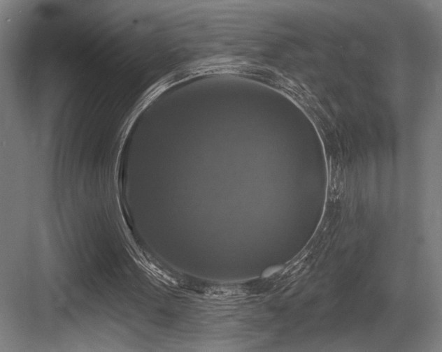 X0000083650099200702121200