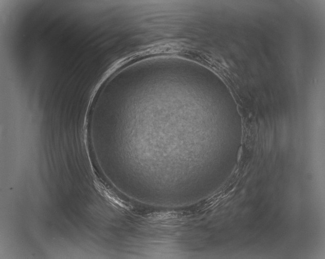 X0000083650100200702121200