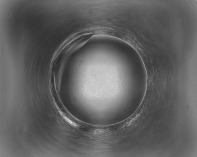 X0000083650101200702121200