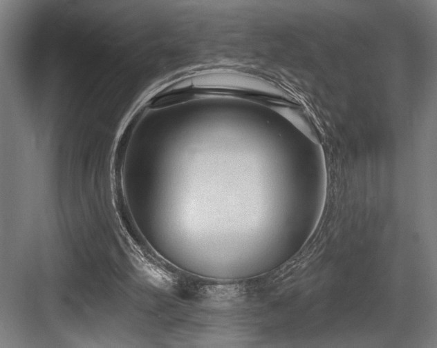 X0000083650102200702121200