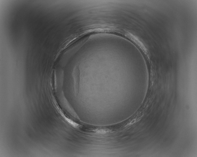 X0000083650105200702121200