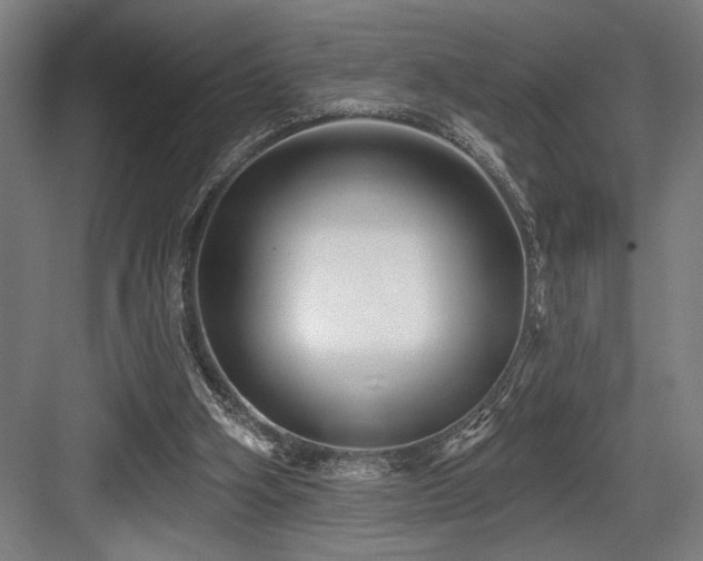 X0000083650106200702121200