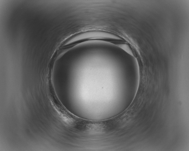 X0000083650107200702121200