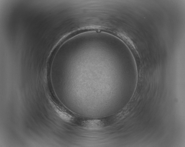 X0000083650108200702121200