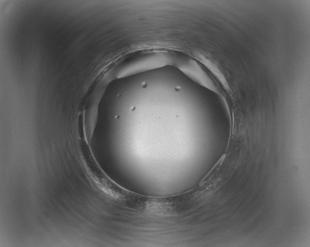 X0000083650109200702121200