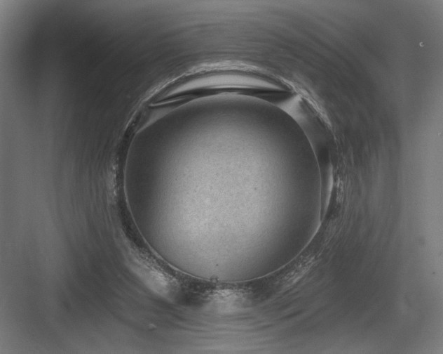 X0000083650111200702121200