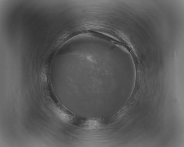 X0000083650114200702121200