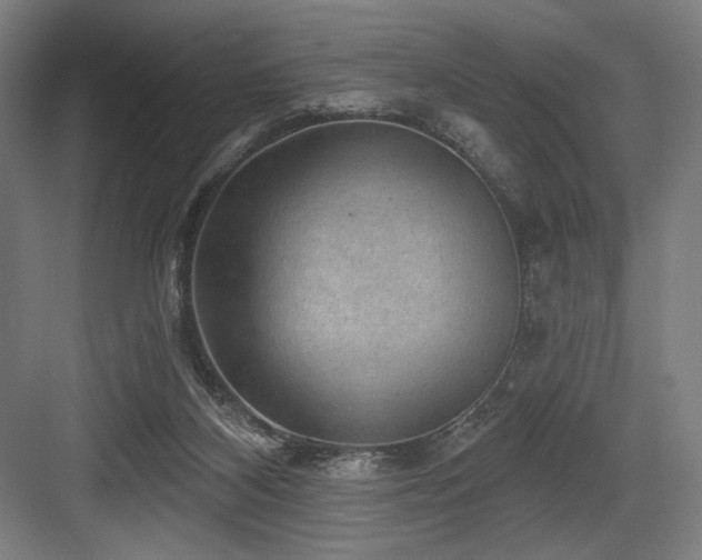X0000083650116200702121200