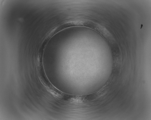 X0000083650120200702121200