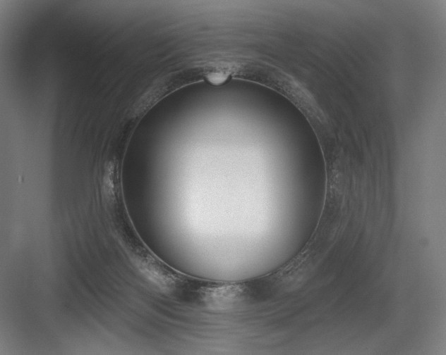 X0000083650122200702121200