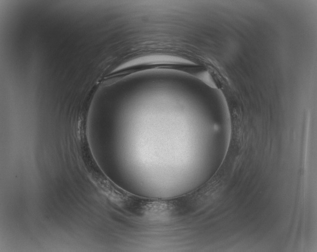 X0000083650123200702121200