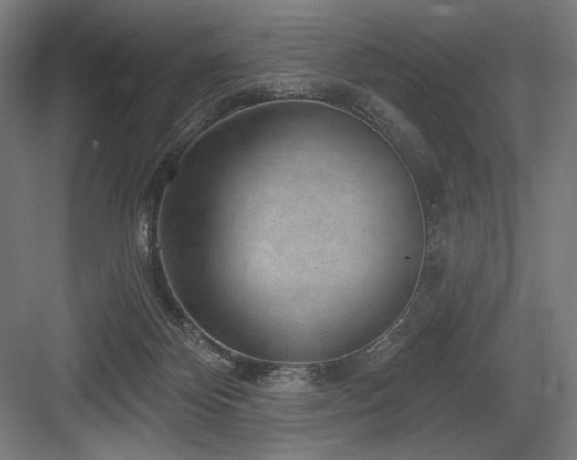 X0000083650124200702121200