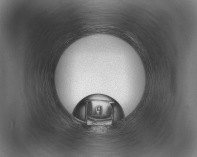 X0000083650125200702121200