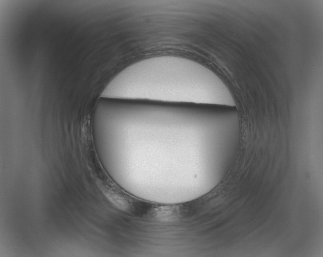 X0000083650126200702121200