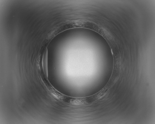 X0000083650129200702121200