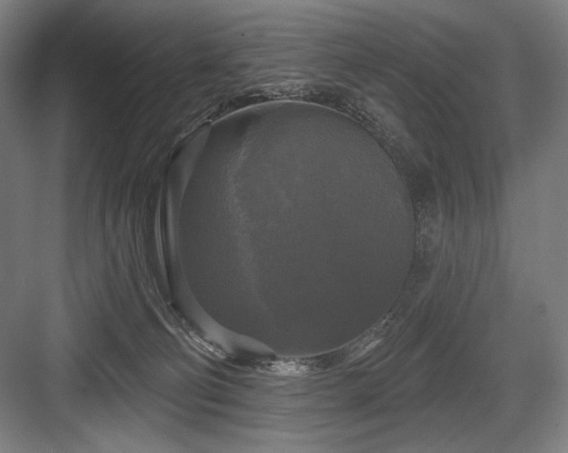 X0000083650130200702121200