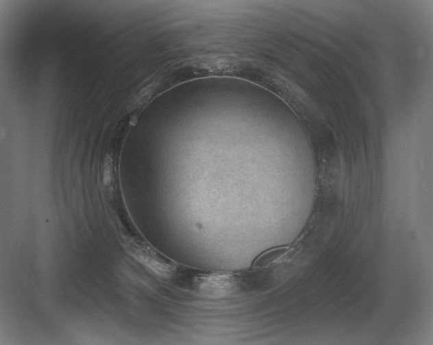 X0000083650132200702121200