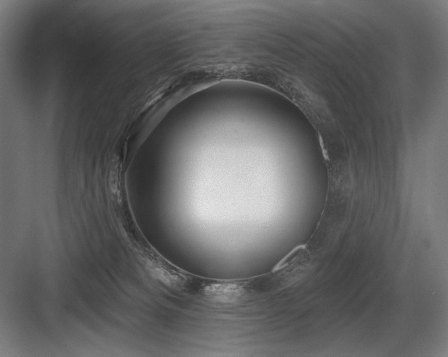 X0000083650133200702121200