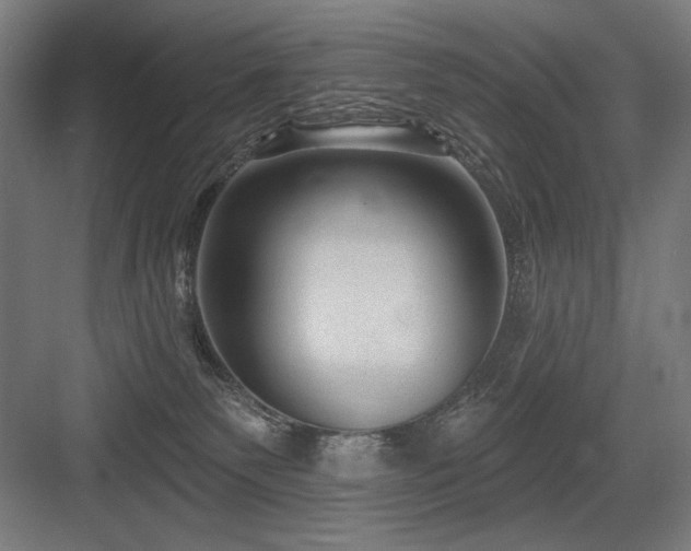 X0000083650135200702121200