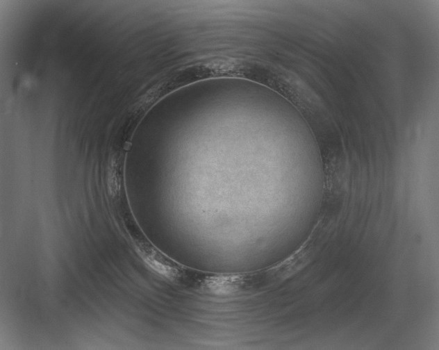 X0000083650136200702121200
