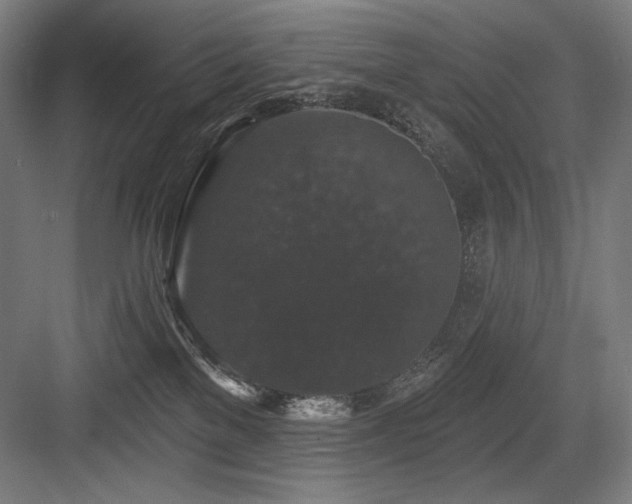 X0000083650137200702121200