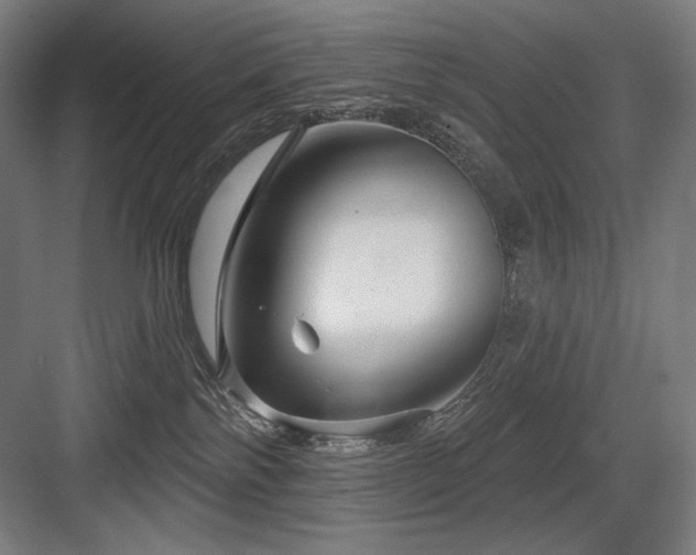 X0000083650138200702121200