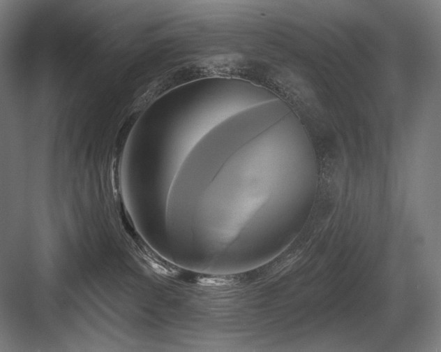 X0000083650139200702121200
