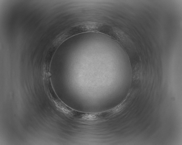 X0000083650140200702121200