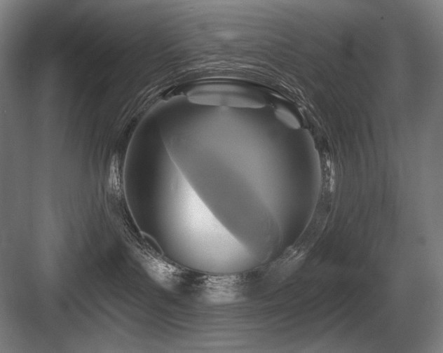 X0000083650143200702121159