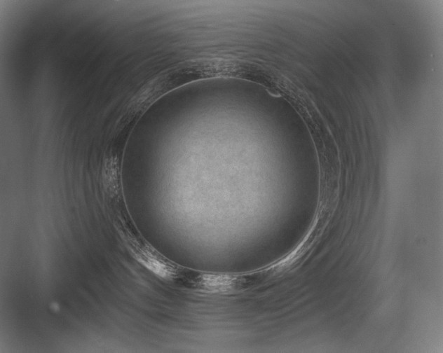 X0000083650144200702121159