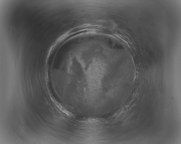 X0000083650149200702121159