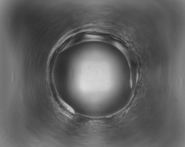 X0000083650150200702121159