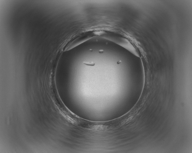 X0000083650153200702121159
