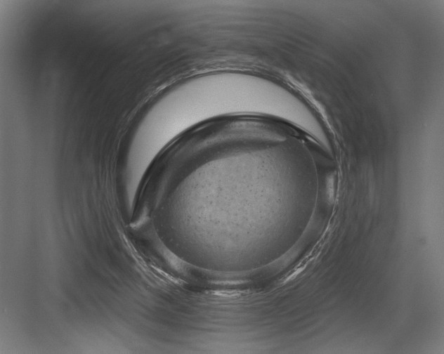 X0000083650154200702121159