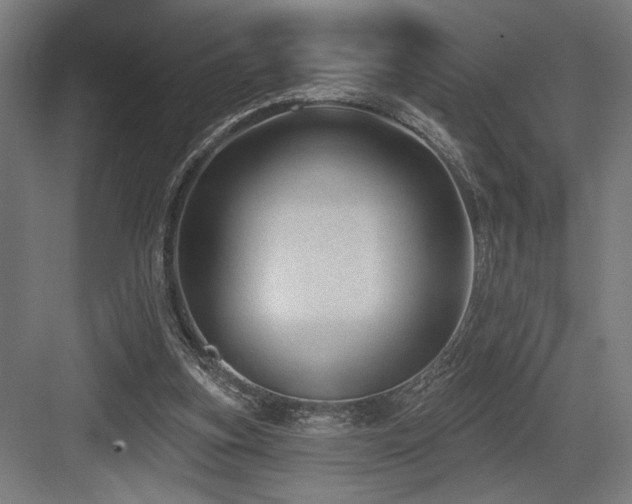 X0000083650155200702121159